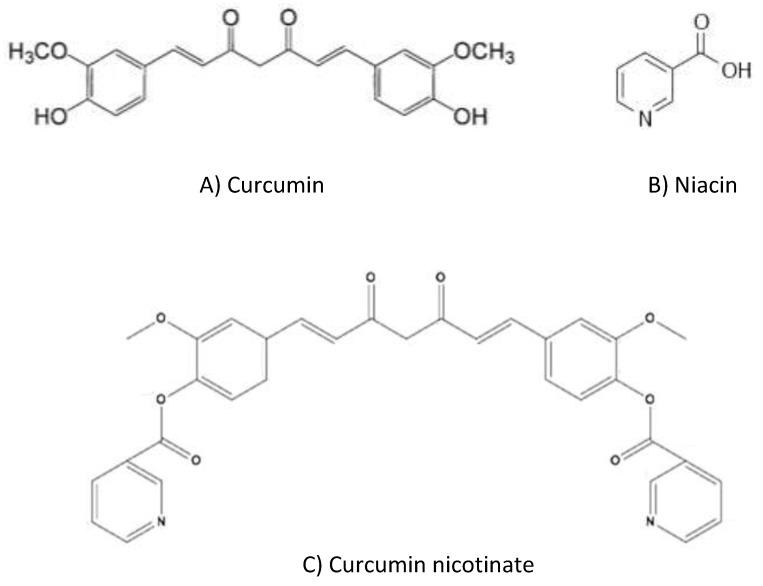 https://cdn.ncbi.nlm.nih.gov/pmc/blobs/a8b1/6891632/70ed74e902ce/molecules-24-04179-g001.jpg