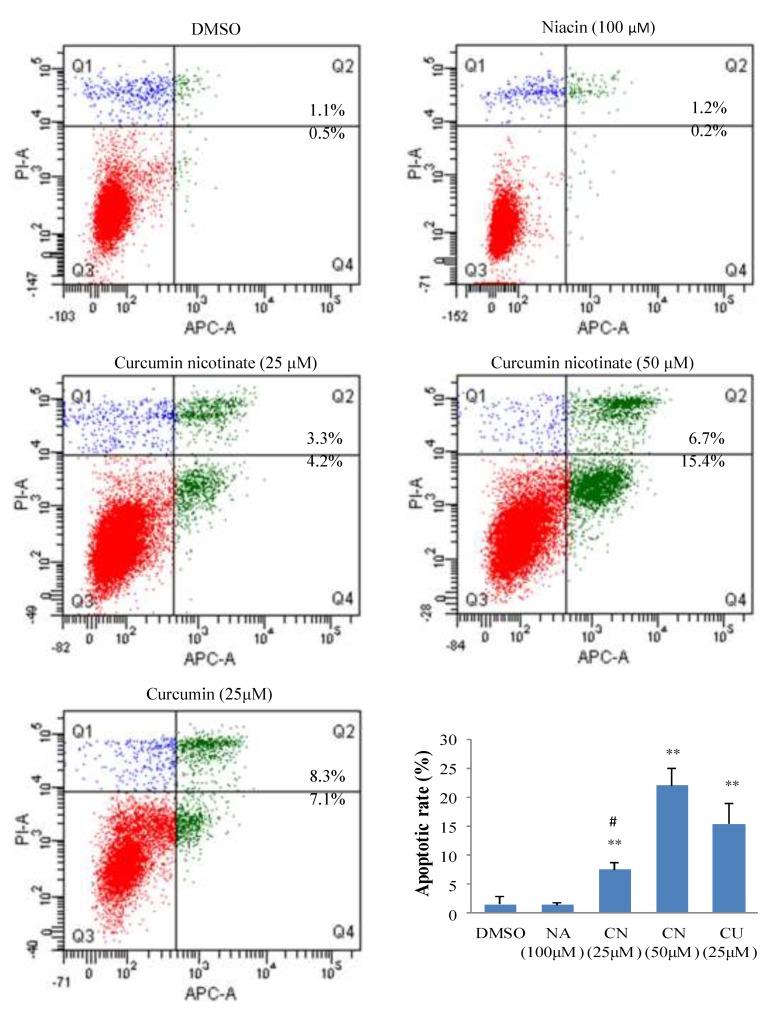 https://cdn.ncbi.nlm.nih.gov/pmc/blobs/a8b1/6891632/8be0f6cf07ae/molecules-24-04179-g003.jpg