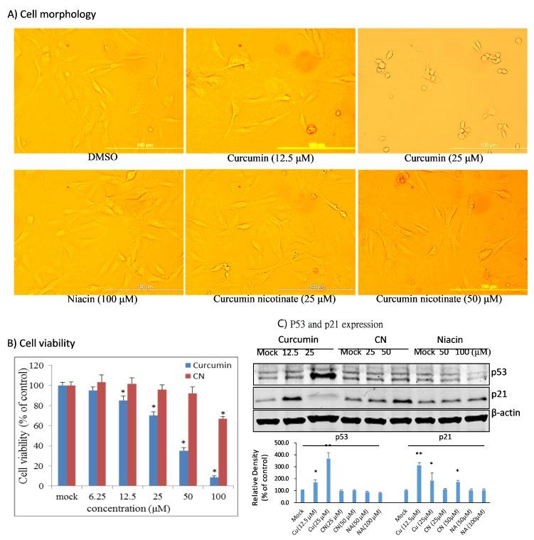 https://cdn.ncbi.nlm.nih.gov/pmc/blobs/a8b1/6891632/94055024fc21/molecules-24-04179-g006.jpg