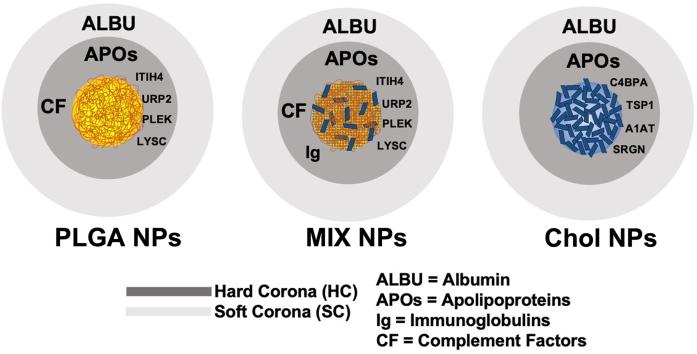 https://cdn.ncbi.nlm.nih.gov/pmc/blobs/a8b2/9594119/1e0d25e1ba6b/ga1.jpg