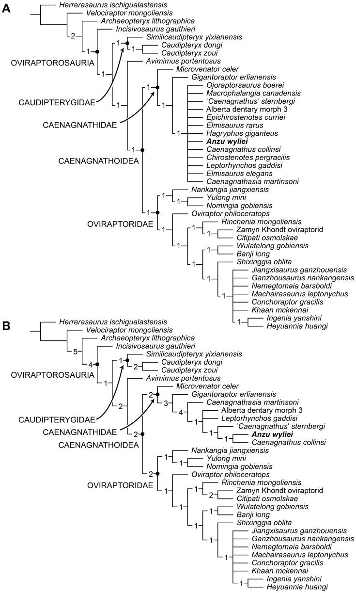 https://cdn.ncbi.nlm.nih.gov/pmc/blobs/a8b3/3960162/c7c6e02a429f/pone.0092022.g006.jpg