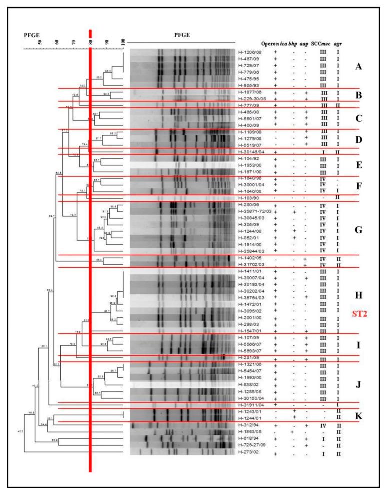 https://cdn.ncbi.nlm.nih.gov/pmc/blobs/a8b3/7729762/636d1a30c182/molecules-25-05715-g002.jpg