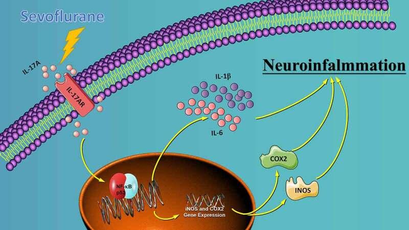 https://cdn.ncbi.nlm.nih.gov/pmc/blobs/a8b3/9342424/601b4cc6d0f0/KBIE_A_2090608_UF0001_OC.jpg