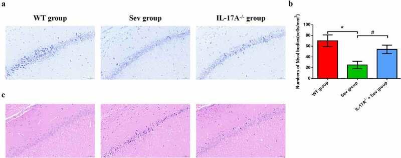 https://cdn.ncbi.nlm.nih.gov/pmc/blobs/a8b3/9342424/bba5795b5534/KBIE_A_2090608_F0005_OC.jpg