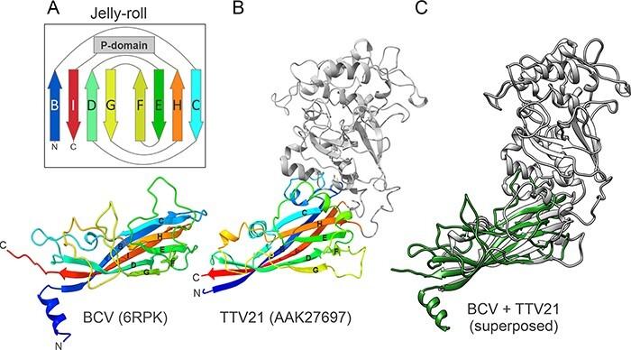https://cdn.ncbi.nlm.nih.gov/pmc/blobs/a8b4/10266747/287546984a64/vead035f3.jpg