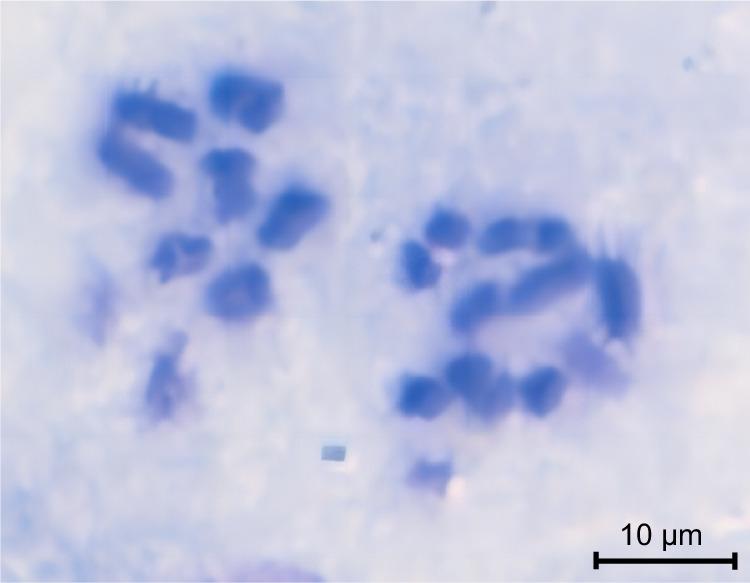 https://cdn.ncbi.nlm.nih.gov/pmc/blobs/a8b4/11039643/55a6a526550f/41597_2024_3270_Fig2_HTML.jpg