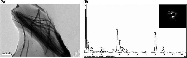 https://cdn.ncbi.nlm.nih.gov/pmc/blobs/a8b6/10128142/1103626ddda8/MBT2-16-915-g003.jpg