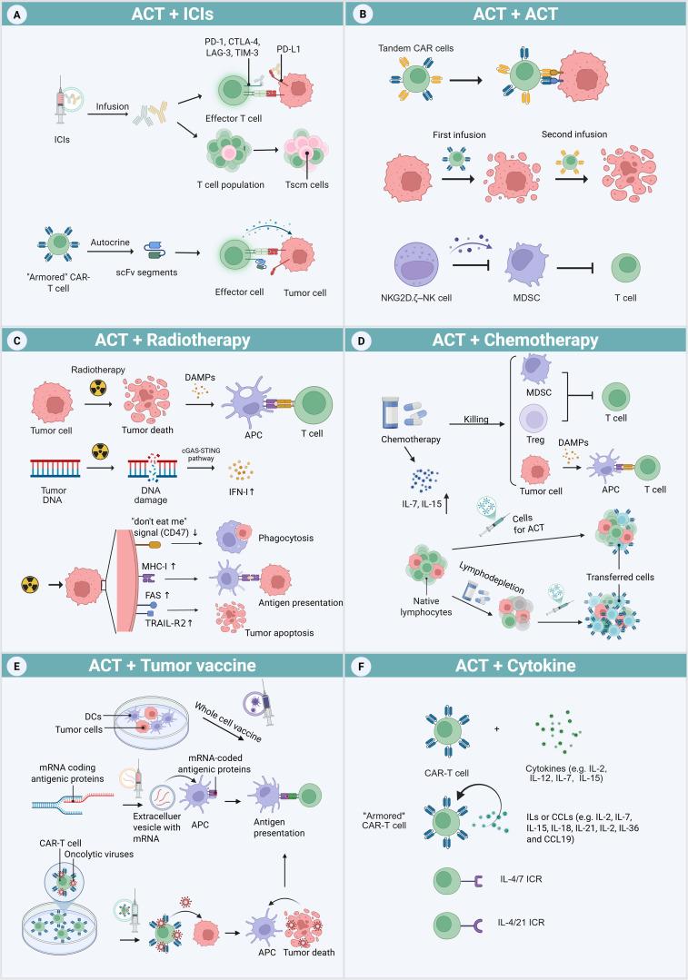 https://cdn.ncbi.nlm.nih.gov/pmc/blobs/a8b9/12354659/871763d6965a/fimmu-16-1603792-g002.jpg