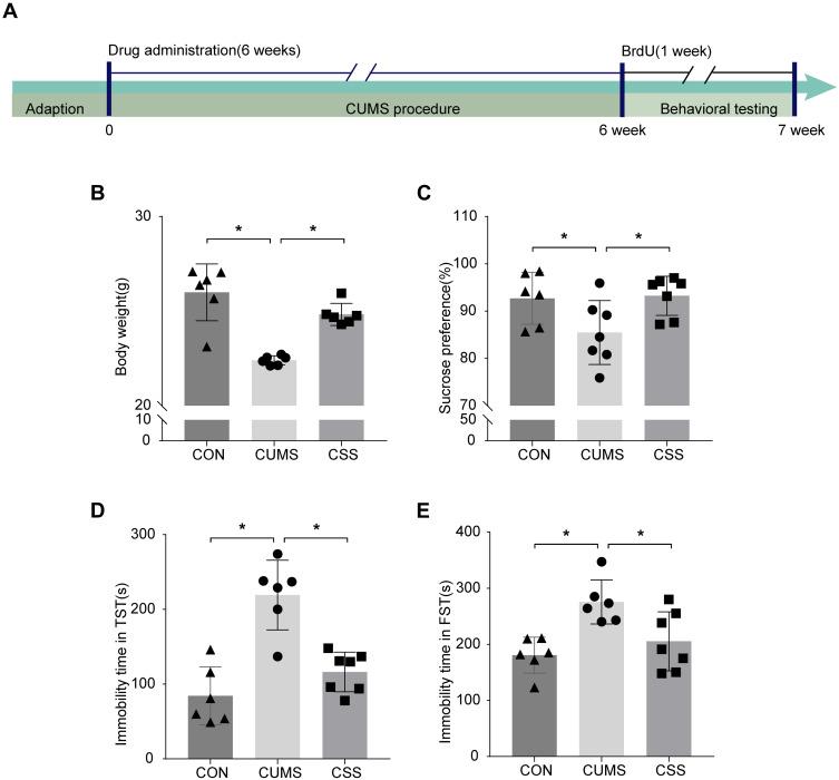 https://cdn.ncbi.nlm.nih.gov/pmc/blobs/a8ba/8353879/1151ca7250bc/DDDT-15-3425-g0005.jpg