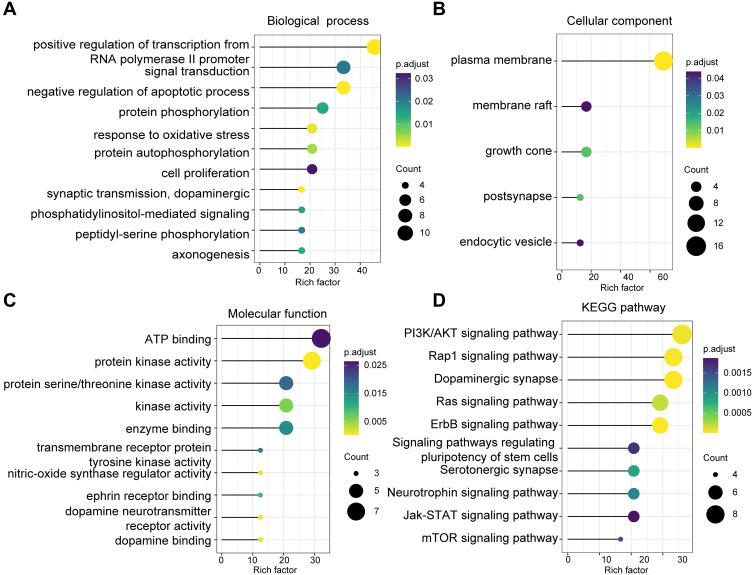 https://cdn.ncbi.nlm.nih.gov/pmc/blobs/a8ba/8353879/2890d78e0ede/DDDT-15-3425-g0004.jpg