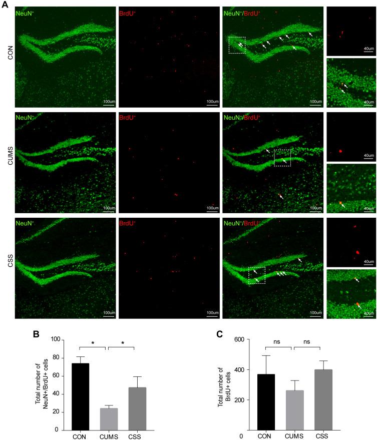 https://cdn.ncbi.nlm.nih.gov/pmc/blobs/a8ba/8353879/571c6ae4f295/DDDT-15-3425-g0006.jpg