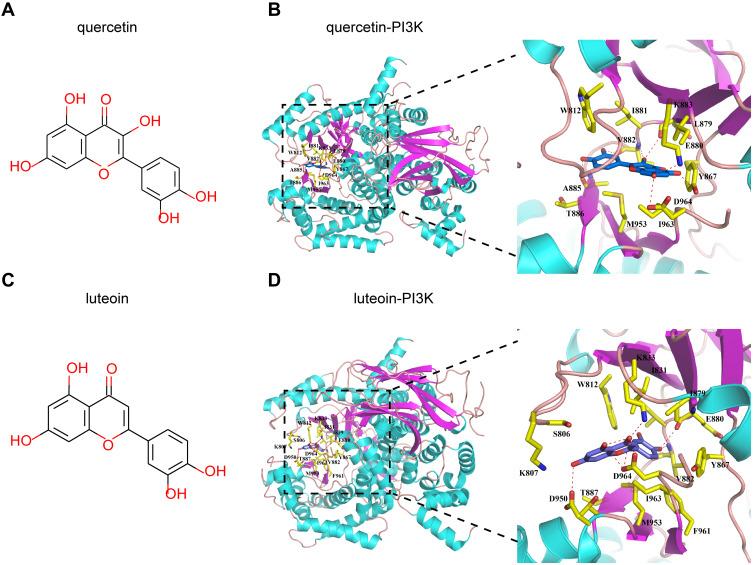 https://cdn.ncbi.nlm.nih.gov/pmc/blobs/a8ba/8353879/dd036aee62a4/DDDT-15-3425-g0008.jpg