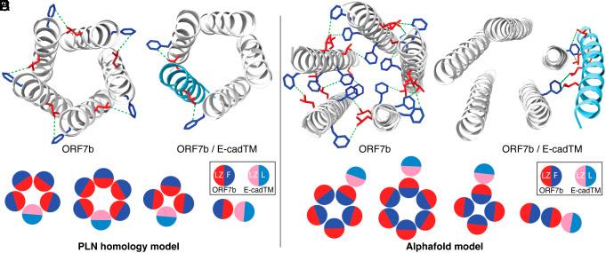 https://cdn.ncbi.nlm.nih.gov/pmc/blobs/a8bb/11573672/0d2772504946/pnas.2407731121fig07.jpg