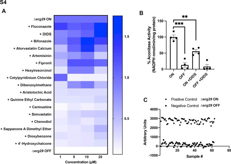 https://cdn.ncbi.nlm.nih.gov/pmc/blobs/a8bc/9127368/dcc2f700ce77/figs3.jpg