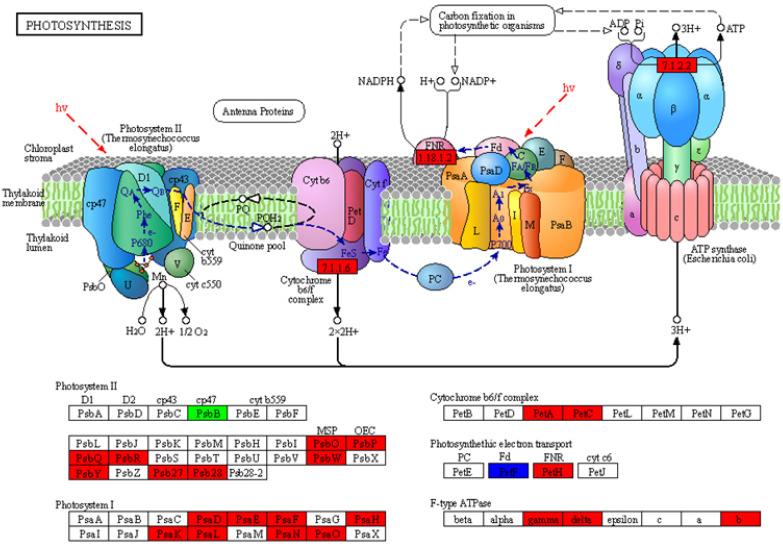 https://cdn.ncbi.nlm.nih.gov/pmc/blobs/a8bd/10053592/3de317488bcb/ijms-24-05737-g006.jpg