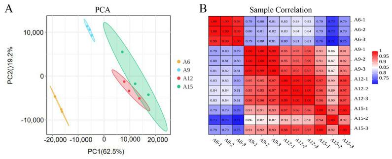 https://cdn.ncbi.nlm.nih.gov/pmc/blobs/a8be/12294169/bf52a5e370f7/genes-16-00845-g002.jpg