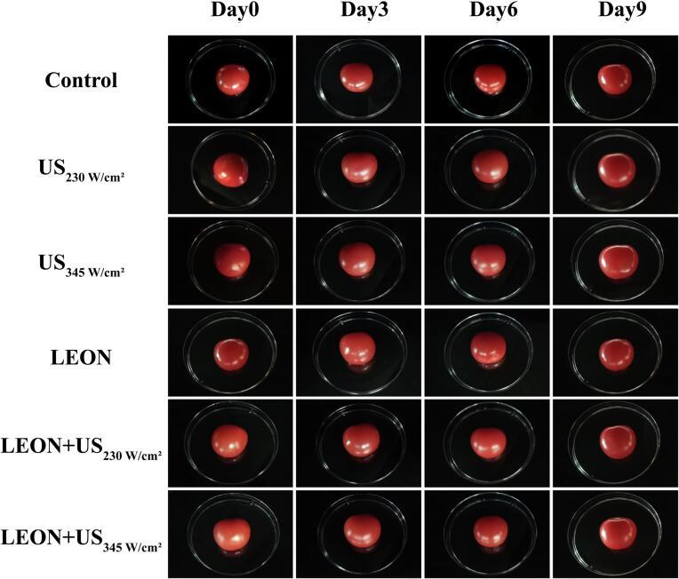 https://cdn.ncbi.nlm.nih.gov/pmc/blobs/a8bf/10300259/3d7676d61dda/gr7.jpg