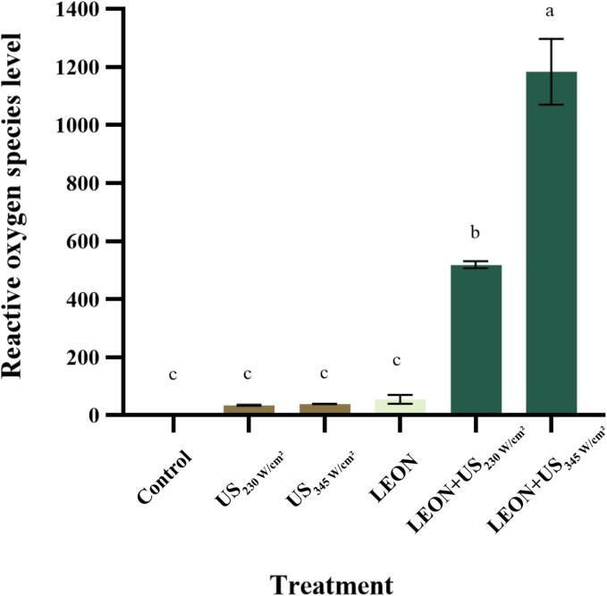 https://cdn.ncbi.nlm.nih.gov/pmc/blobs/a8bf/10300259/d104d87ca7ed/gr1.jpg