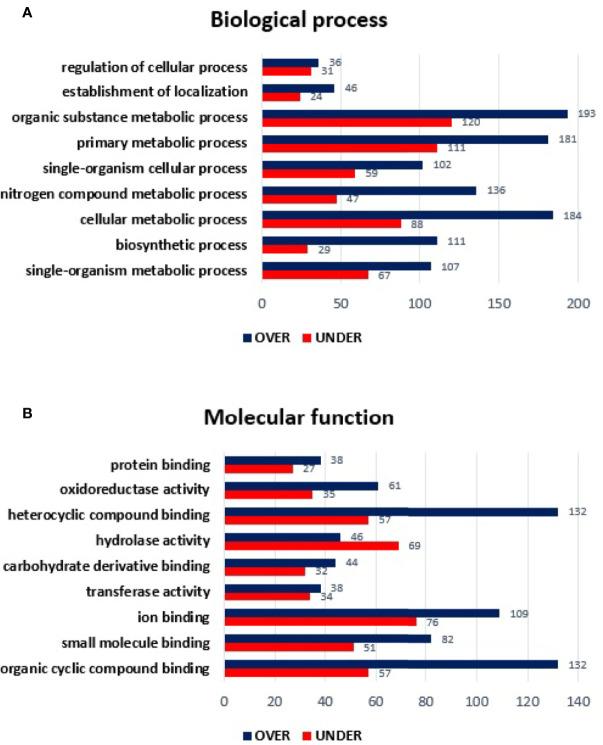 https://cdn.ncbi.nlm.nih.gov/pmc/blobs/a8bf/7879575/c25087752b72/fcimb-10-611113-g005.jpg