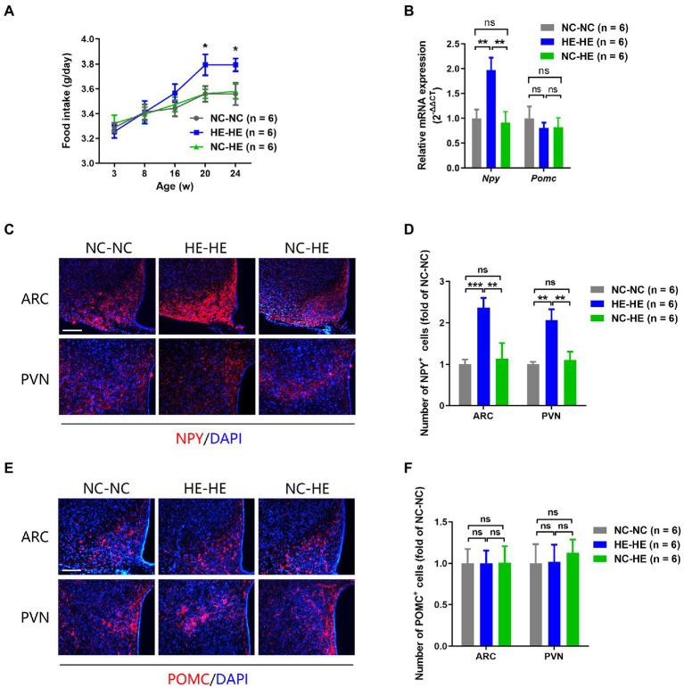 https://cdn.ncbi.nlm.nih.gov/pmc/blobs/a8c1/9868306/342f1ee006c1/fmicb-13-1050352-g004.jpg