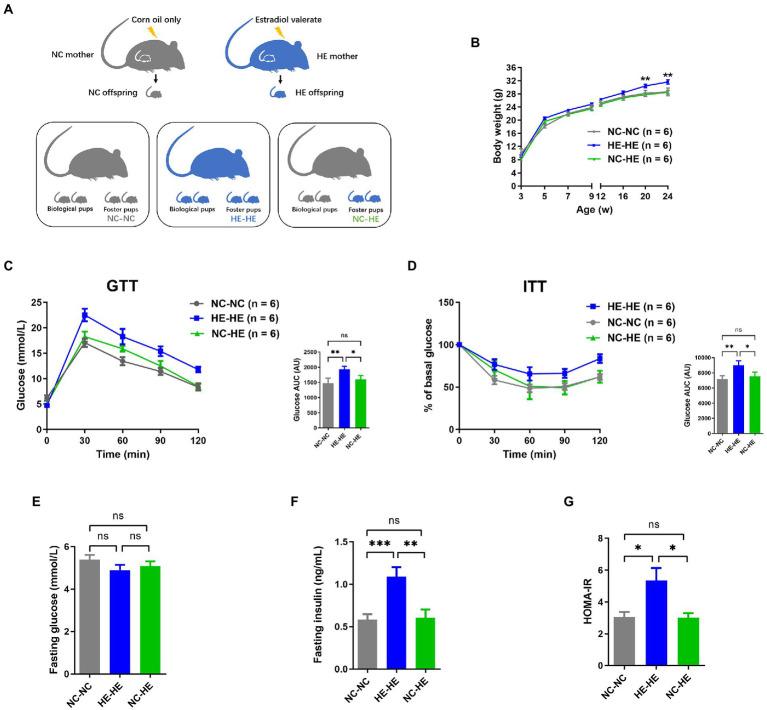 https://cdn.ncbi.nlm.nih.gov/pmc/blobs/a8c1/9868306/6e998fbf3f47/fmicb-13-1050352-g001.jpg