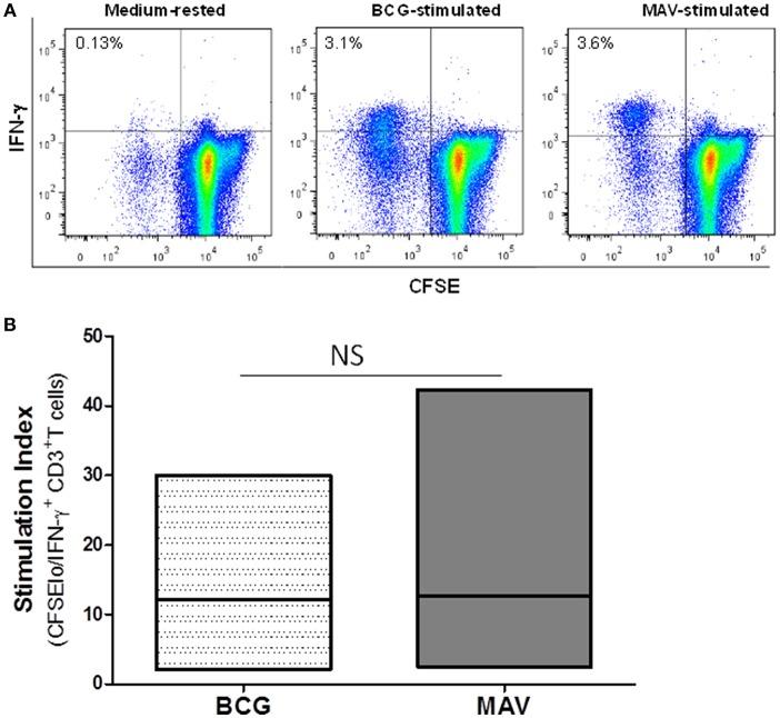 https://cdn.ncbi.nlm.nih.gov/pmc/blobs/a8c2/6389677/3ef91b6dcc97/fimmu-10-00234-g0001.jpg