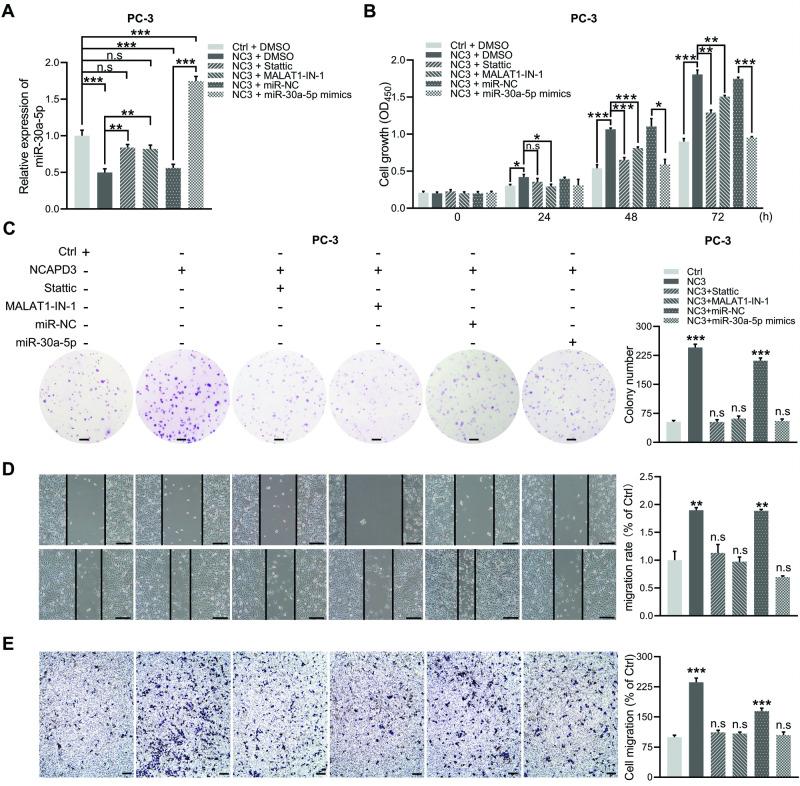https://cdn.ncbi.nlm.nih.gov/pmc/blobs/a8c3/10985108/34cddc2b4803/41420_2024_1930_Fig6_HTML.jpg