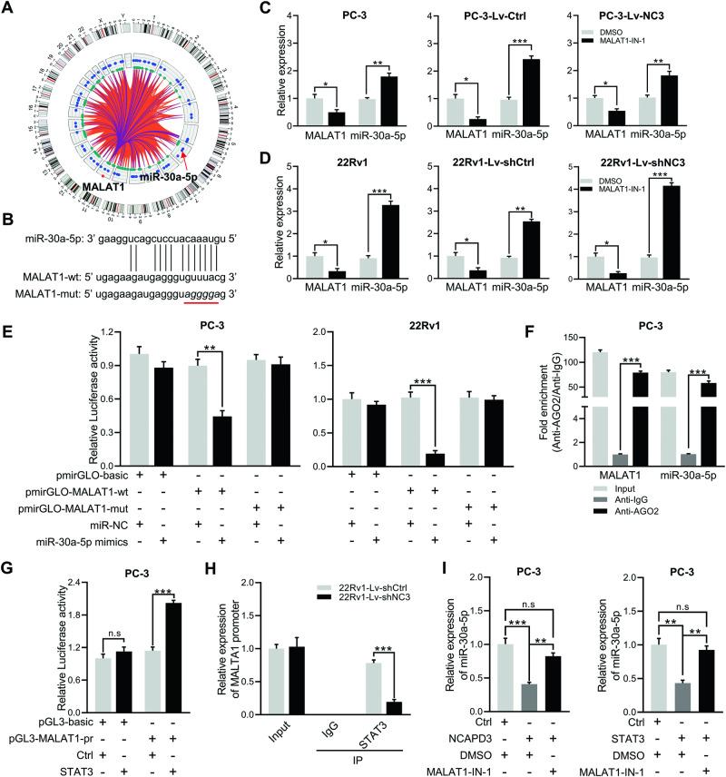 https://cdn.ncbi.nlm.nih.gov/pmc/blobs/a8c3/10985108/d6b11789e2ab/41420_2024_1930_Fig4_HTML.jpg