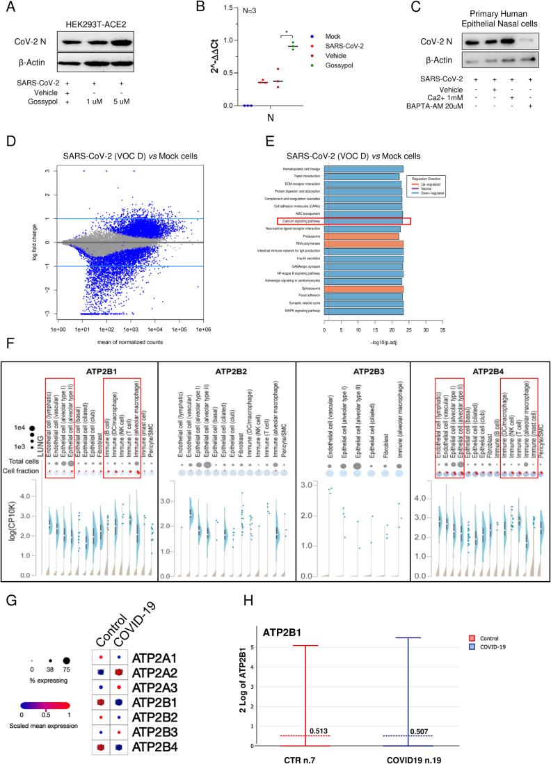 https://cdn.ncbi.nlm.nih.gov/pmc/blobs/a8c4/11239940/2a77f47da6d7/44319_2024_164_Fig6_ESM.jpg