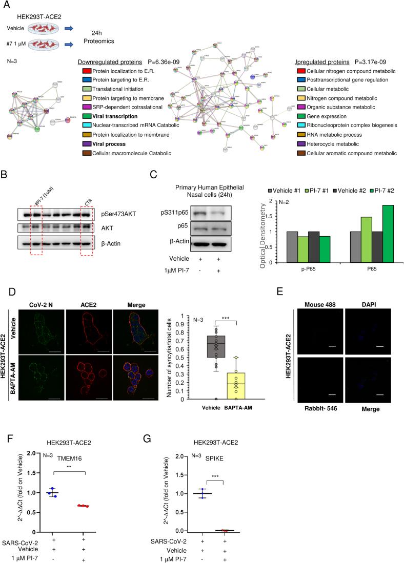 https://cdn.ncbi.nlm.nih.gov/pmc/blobs/a8c4/11239940/8a397c3cd96c/44319_2024_164_Fig10_ESM.jpg