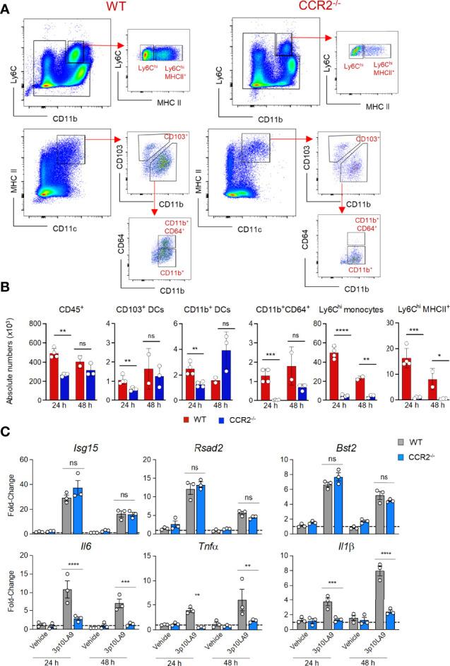 https://cdn.ncbi.nlm.nih.gov/pmc/blobs/a8c4/9241514/10bceccc15be/fimmu-13-910192-g005.jpg