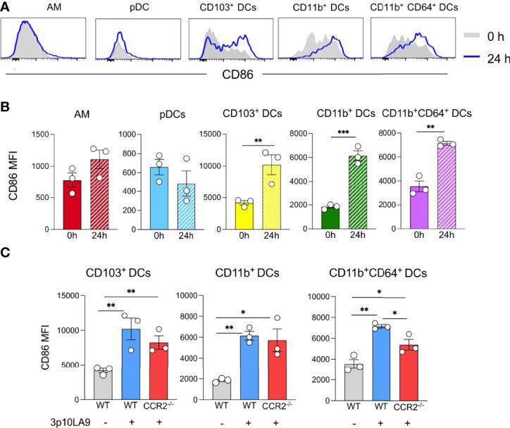 https://cdn.ncbi.nlm.nih.gov/pmc/blobs/a8c4/9241514/6674ac8c07d8/fimmu-13-910192-g006.jpg