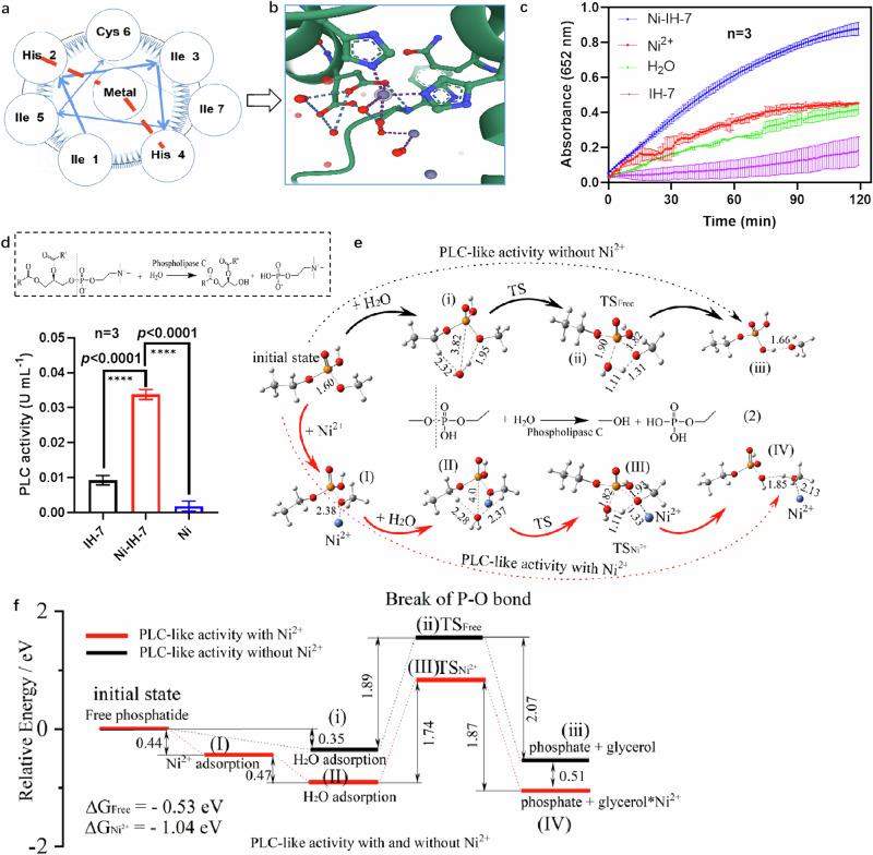 https://cdn.ncbi.nlm.nih.gov/pmc/blobs/a8c5/11224359/853ec466c16b/41467_2024_50094_Fig5_HTML.jpg