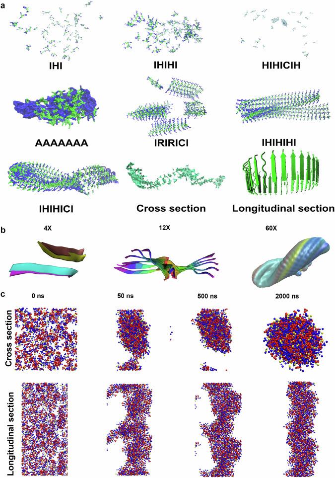 https://cdn.ncbi.nlm.nih.gov/pmc/blobs/a8c5/11224359/8b8450e3f63a/41467_2024_50094_Fig1_HTML.jpg