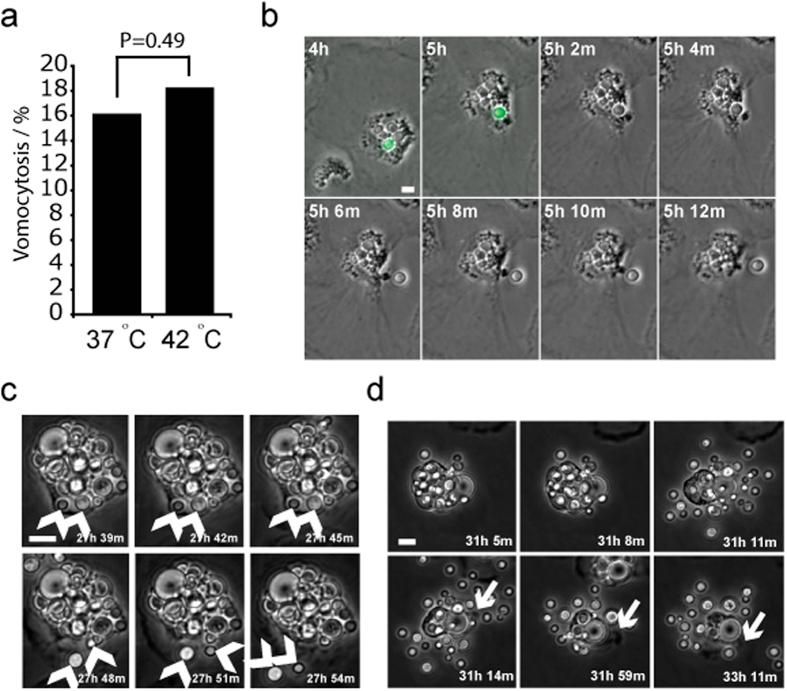 https://cdn.ncbi.nlm.nih.gov/pmc/blobs/a8c5/4756366/16aa24e59168/srep20977-f4.jpg