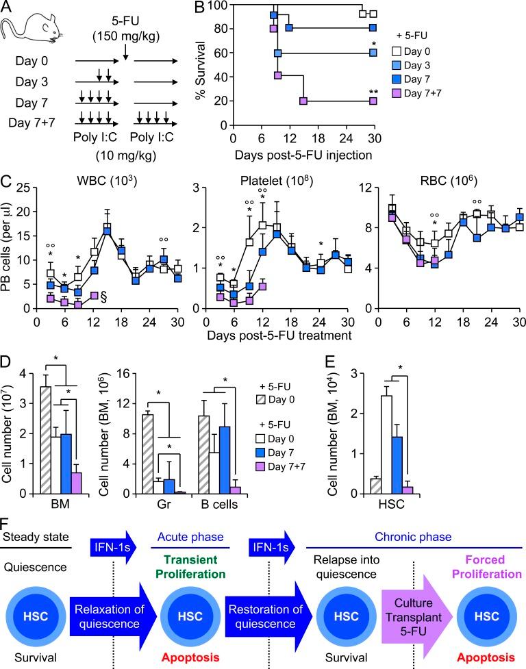 https://cdn.ncbi.nlm.nih.gov/pmc/blobs/a8c6/3920566/952a8bdbbd4b/JEM_20131043_Fig10.jpg