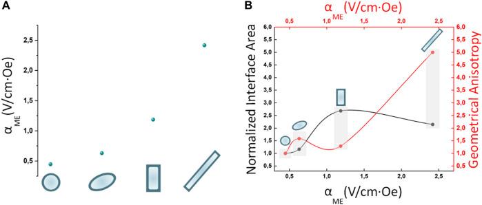 https://cdn.ncbi.nlm.nih.gov/pmc/blobs/a8c7/10485842/67ae653cd1ba/fbioe-11-1219777-g005.jpg
