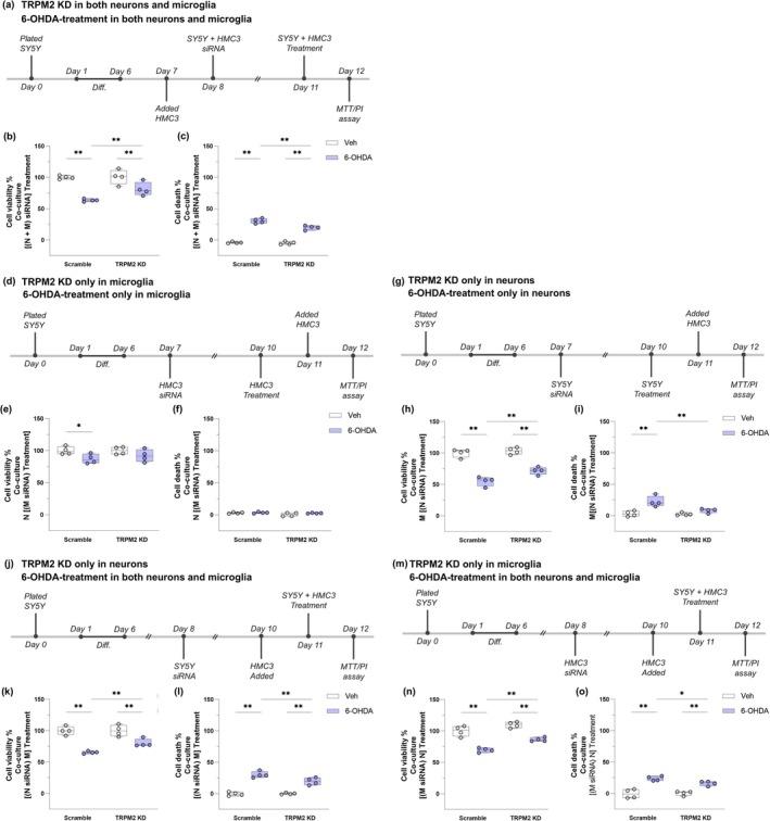 https://cdn.ncbi.nlm.nih.gov/pmc/blobs/a8cc/12334870/9e6aa93aed76/GLIA-73-2035-g004.jpg
