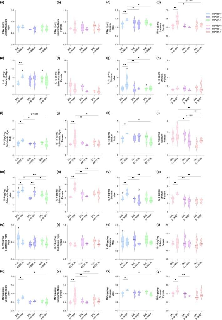 https://cdn.ncbi.nlm.nih.gov/pmc/blobs/a8cc/12334870/e6877037e3bd/GLIA-73-2035-g007.jpg