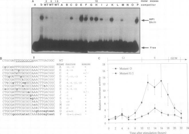 https://cdn.ncbi.nlm.nih.gov/pmc/blobs/a8ce/369537/213dd74a97a1/molcellb00167-0166-a.jpg