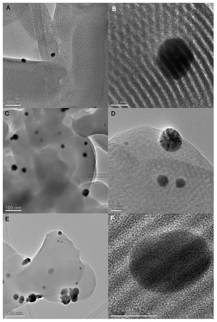 https://cdn.ncbi.nlm.nih.gov/pmc/blobs/a8cf/11679571/e04536ea3f09/ijms-25-13548-g009.jpg