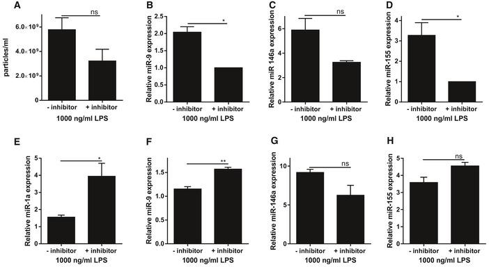 https://cdn.ncbi.nlm.nih.gov/pmc/blobs/a8cf/5048366/2b19d790bd7f/EMMM-8-1162-g006.jpg