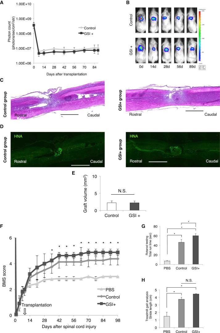 https://cdn.ncbi.nlm.nih.gov/pmc/blobs/a8d1/5063571/3248cc052e00/gr7.jpg