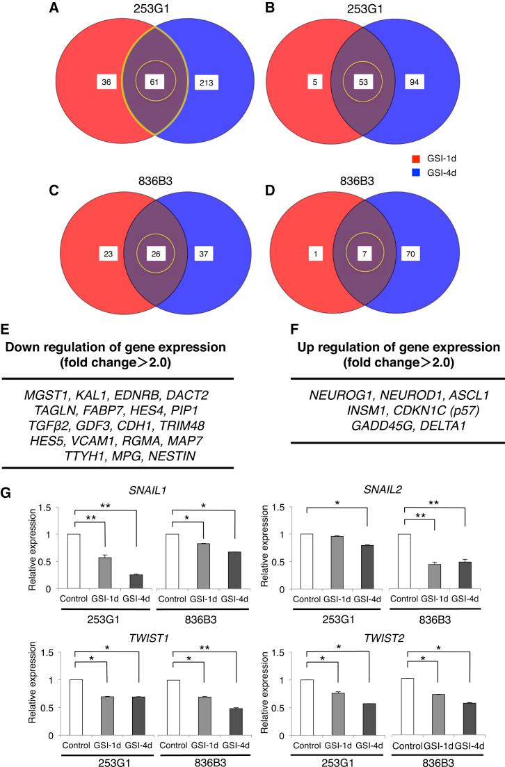 https://cdn.ncbi.nlm.nih.gov/pmc/blobs/a8d1/5063571/cf1247f280e9/gr3.jpg