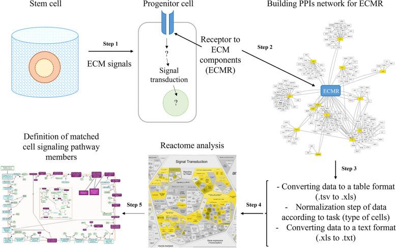 https://cdn.ncbi.nlm.nih.gov/pmc/blobs/a8d4/10507829/1242e524ad8c/12964_2023_1252_Fig5_HTML.jpg