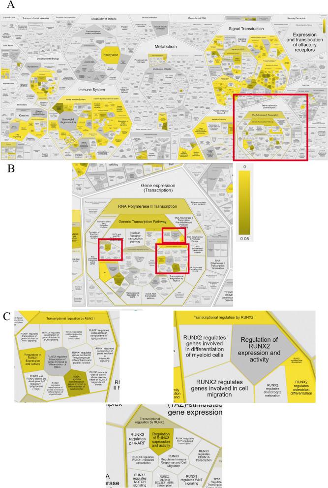 https://cdn.ncbi.nlm.nih.gov/pmc/blobs/a8d4/10507829/8f63f95a560f/12964_2023_1252_Fig4_HTML.jpg