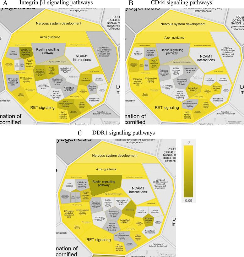 https://cdn.ncbi.nlm.nih.gov/pmc/blobs/a8d4/10507829/91680a8a3ca4/12964_2023_1252_Fig3_HTML.jpg