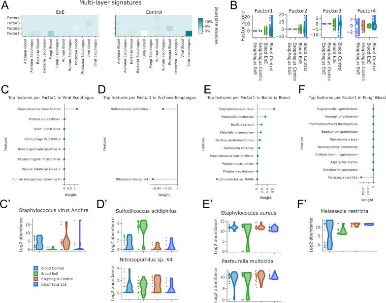 https://cdn.ncbi.nlm.nih.gov/pmc/blobs/a8d4/9875471/bc1d0d3fffdb/12967_2023_3898_Fig5_HTML.jpg