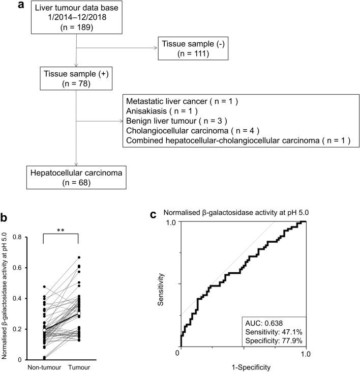 https://cdn.ncbi.nlm.nih.gov/pmc/blobs/a8d5/8429424/ae4cec30cd86/41598_2021_97073_Fig1_HTML.jpg
