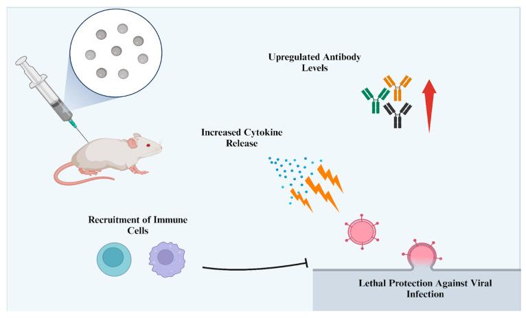 https://cdn.ncbi.nlm.nih.gov/pmc/blobs/a8d6/11510578/802252e96e09/nanomaterials-14-01618-g007.jpg